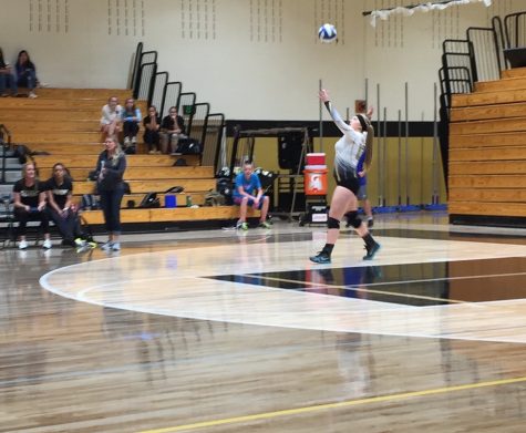 Lacey Zadra '17 in position to serve.