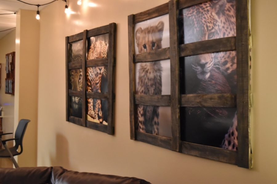 The teachers lounge, renovated in December 2016, features jaguar themed photography and art. 