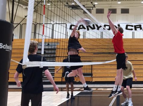 Ben Gardner 20 practices blocking for a one-hand tip Feb. 20, 2019. Gardner had done Mens Volleyball for all three of the trials years. Having fun, volleyball is just a fun sport to play-when you get really good to a point then it gets competitive, Gardner said.