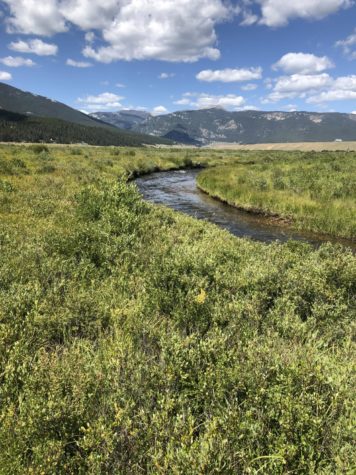 Texas creek runs through meadows, mountains, and forests. Creeks such as these act as a gathering point for all sorts of wildlife from bears to beavers.