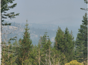 Sept. 16, smoke from the recent wildfires sit outside in California as Tim Brown, uncle of Bennett Edlund ‘21, takes a photograph.