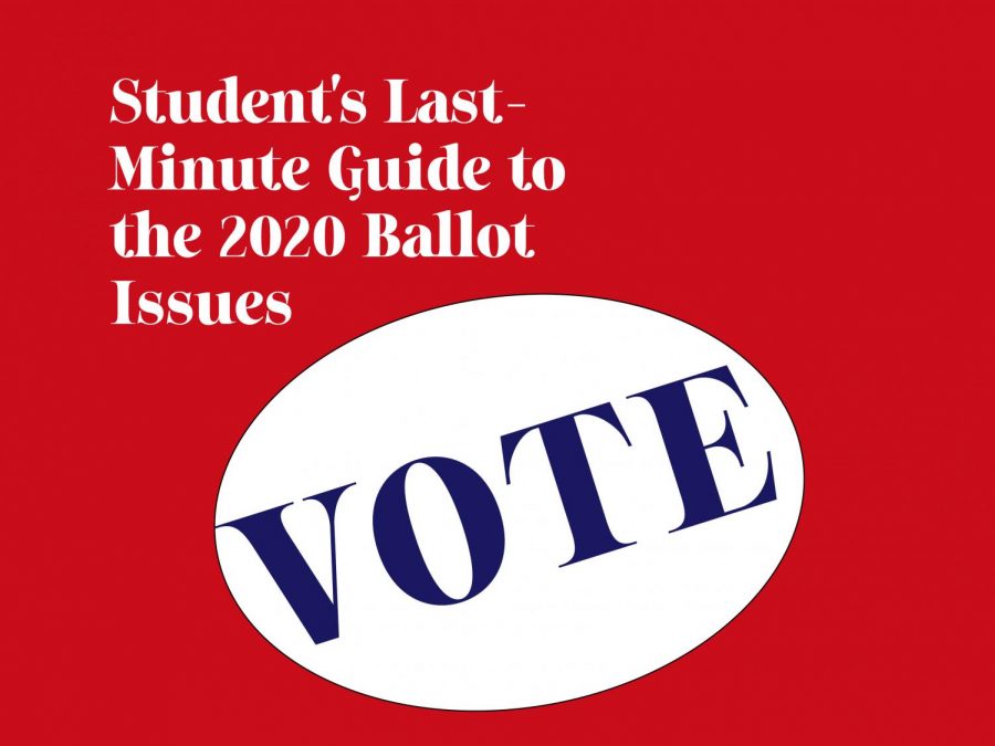 Graphic for student voter information guide.