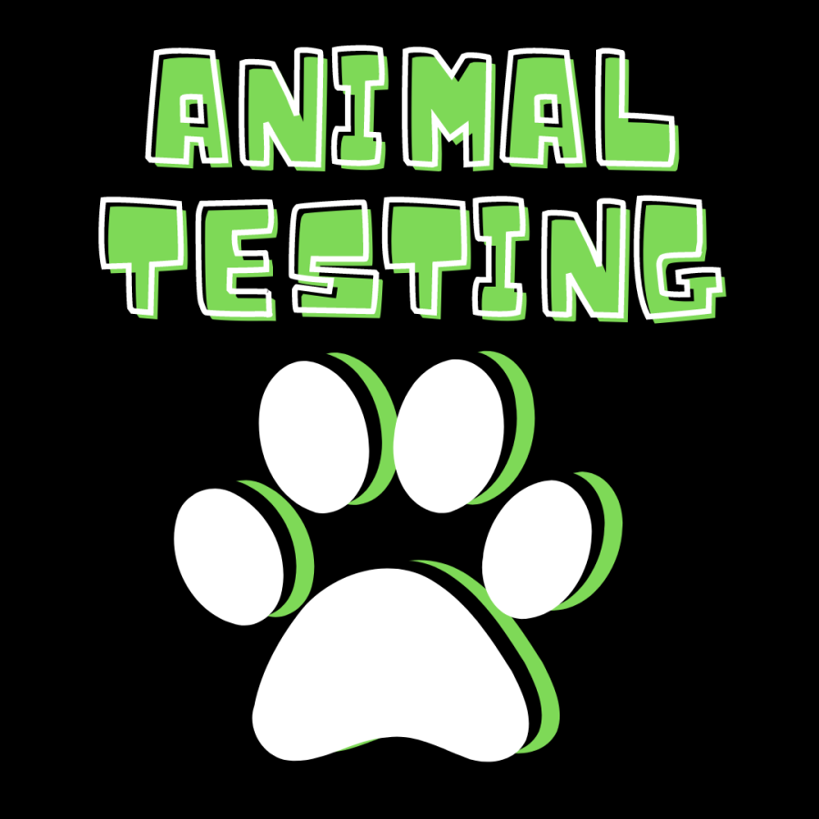 animal testing statistics peta