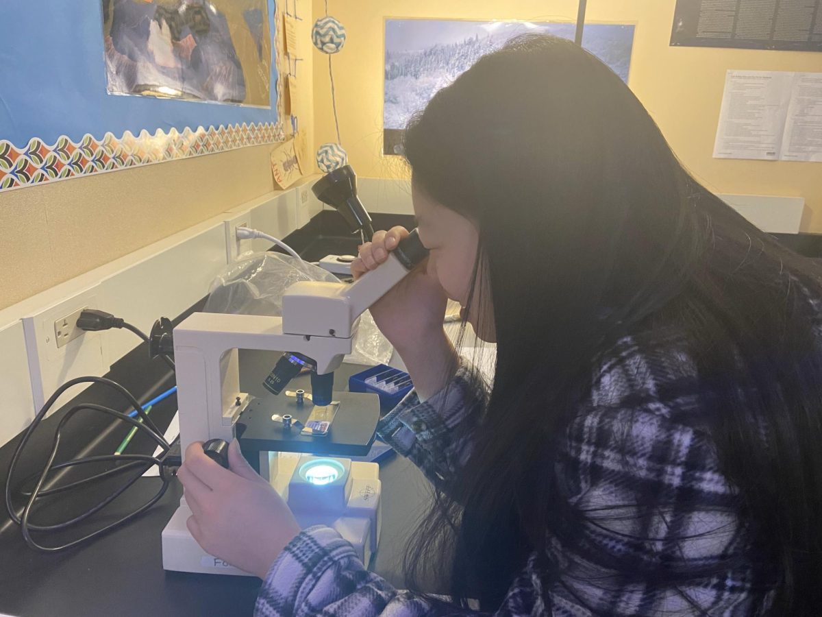 Hannah Zhang ‘26 looks through a microscope to observe a sample of algae during the Water Quality Activities Lab in AP Environmental Science Jan. 17. Students studied different types of algae through magnified lenses, drew photos of what they saw using colored pencils and wrote down facts about different kinds of algae. Through the lab, they learned how these organisms could affect water quality and how it could be altered. “It was really cool being able to see the algae and learn about how it affects water quality,” Zhang said. “I never knew such a small thing could make such a big difference.”