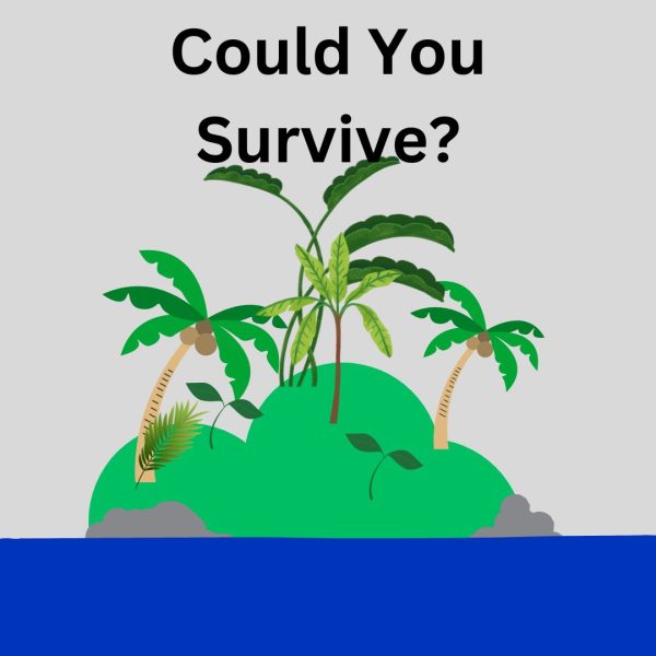 A graphic displays a deserted island and the headline to introduce the quiz. 