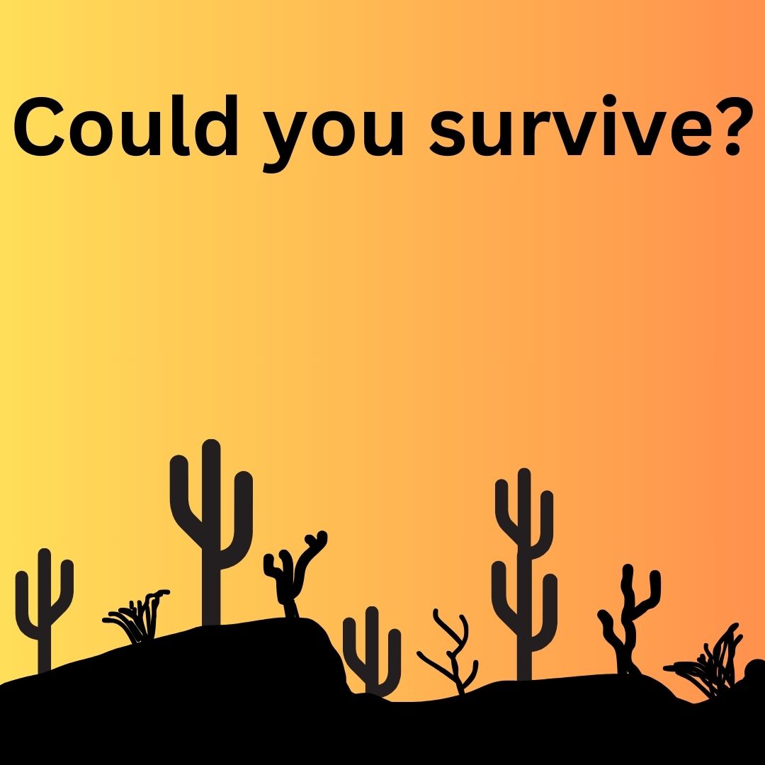 Could You Survive the Sahara desert?