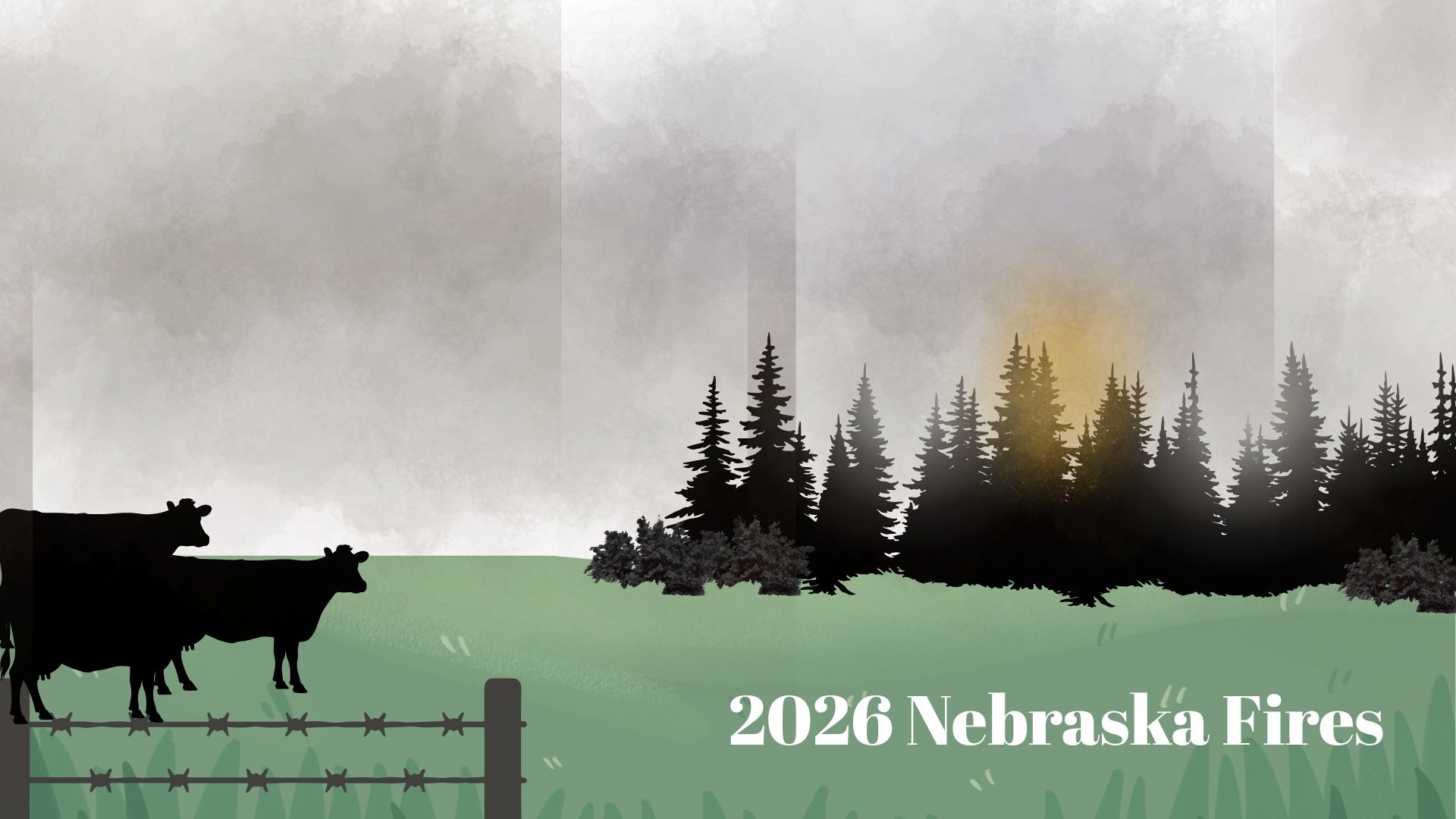As the fire continues the spread, farmers are forced to move in search of grazing land for their livestock in replacement of the land that was destroyed. Nebraska's major fires have been contained but the battle is not over as some fires still continue the rage on.